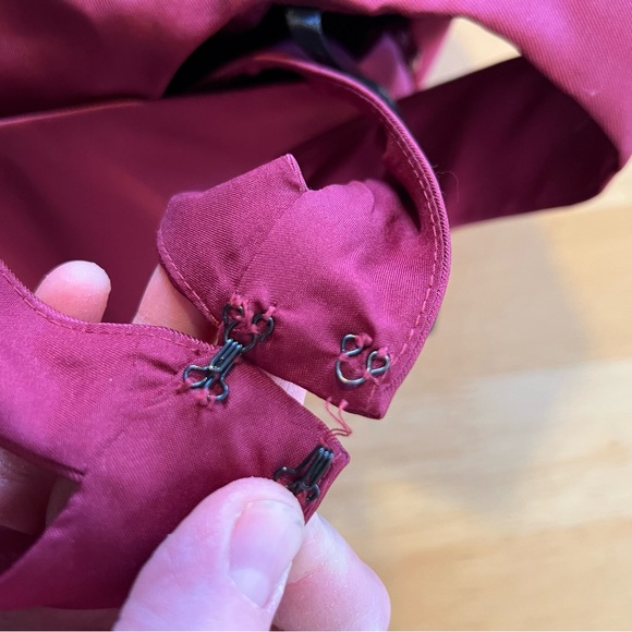 ALFRED SUNG v neck halter satin trumpet grown in Deep Red Maxi Dress - Picture 7 of 13